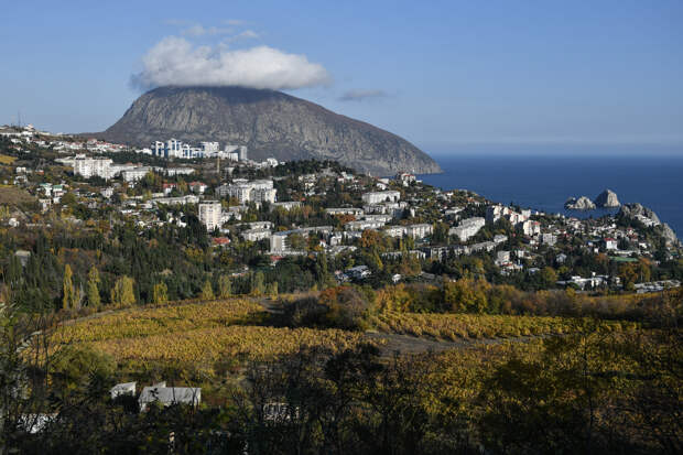 Продажа имущества украинских олигархов пополнила бюджет Крыма на миллиарды рублей