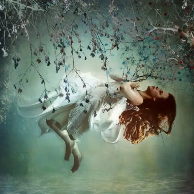 �������� � �������� �� ������. Ellen M McDermott