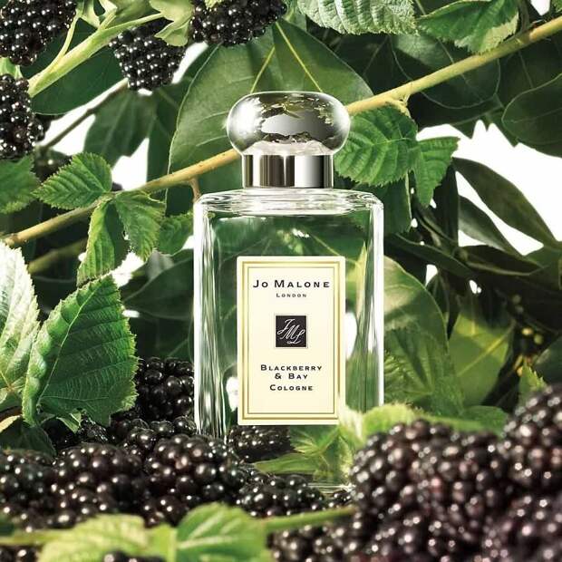 Jo-Malone-Blackberry-Bay-Cologne-with-Background