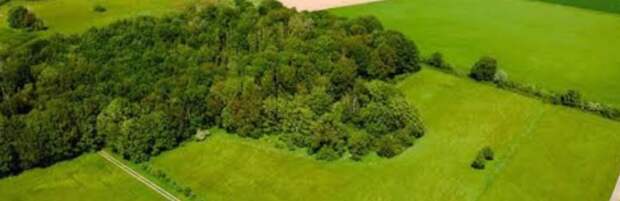 Более 4 тысяч гектаров земли в Конаеве вернули в госсобственность