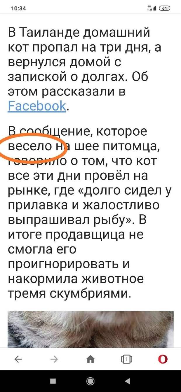 Высечь бы их за такие вольности и неуважение к грамматике Высечь бы их за такие вольности и неуважение к грамматике
