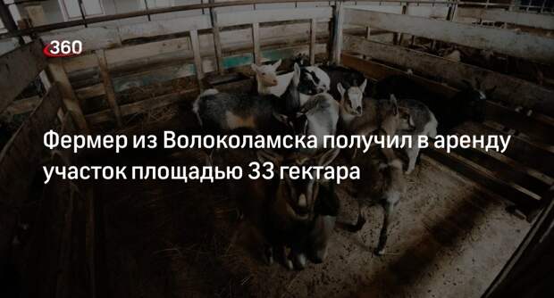 Фермер из Волоколамска получил в аренду участок площадью 33 гектара
