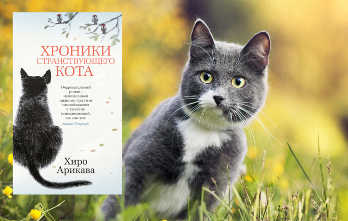 «Хроники странствующего кота», Хиро Арикава.