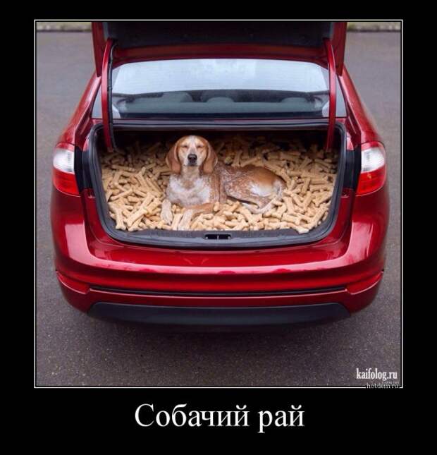 Демотиваторы на авто тему (45 демок)