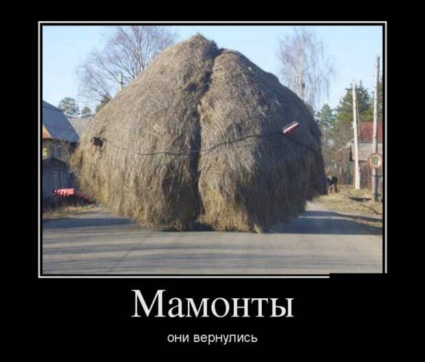 Демотиваторы