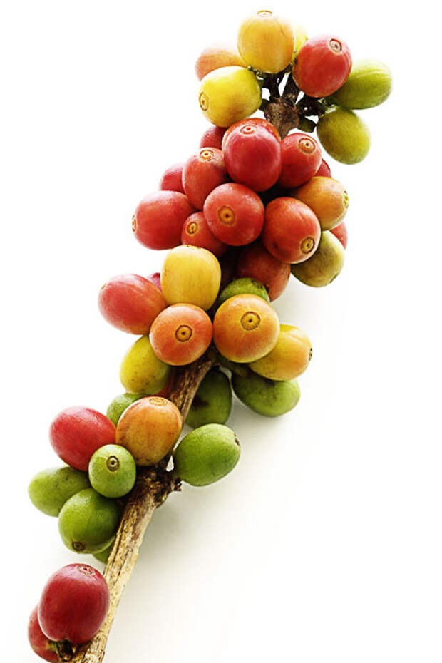 iStock_22065634_1.jpg