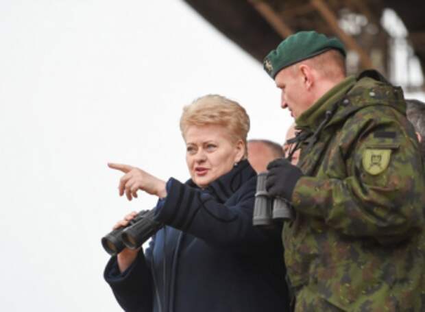 Президент Литвы выступила за перемещение штабов НАТО ближе к границам с Россией