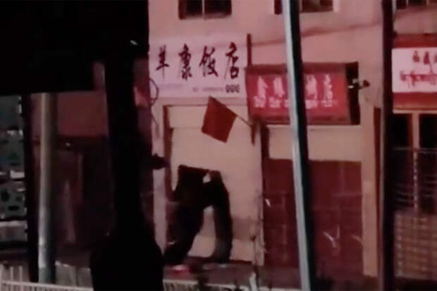 Голодные медведи ворвались в ресторан