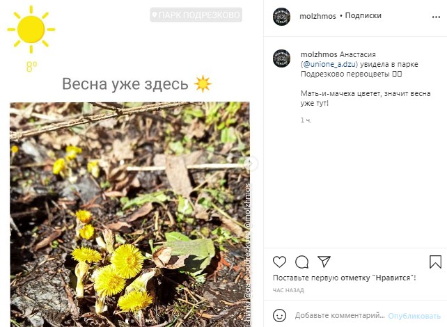 Фото дня: в парк «Подрезково» пришла весна