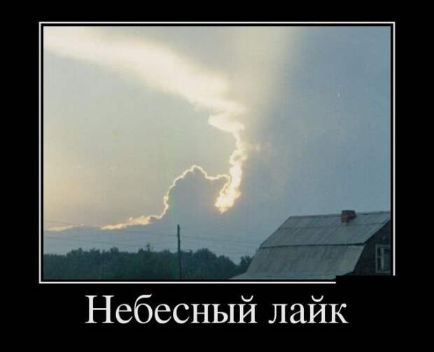 demotivatory_na_vtornik_30_foto_3.jpg