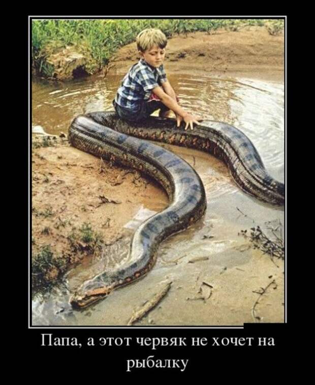 Забавные демотиваторы на выходные (11 фото) Забавные демотиваторы на выходные (11 фото)