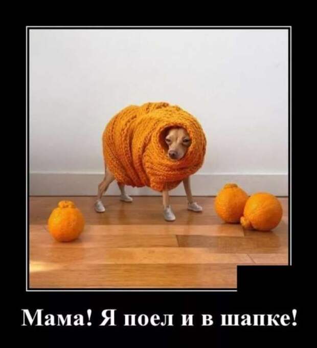 Прикольные демотиваторы с надписями. Подборка chert-poberi-dem-chert-poberi-dem-59280913072020-12 картинка chert-poberi-dem-59280913072020-12