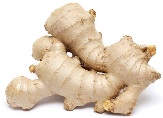 iStock_15824284_LARGE.jpg