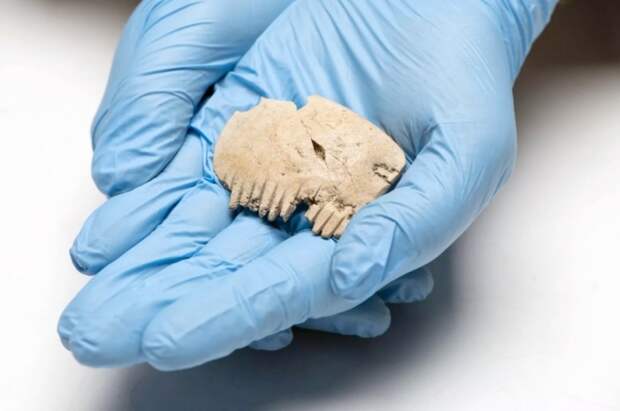 Археологи обнаружили в Англии древний амулет из человеческого черепа