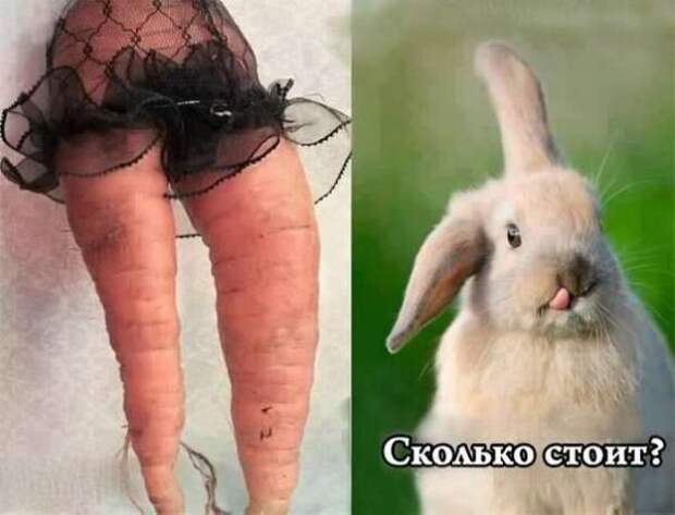 Намусорю вам тут