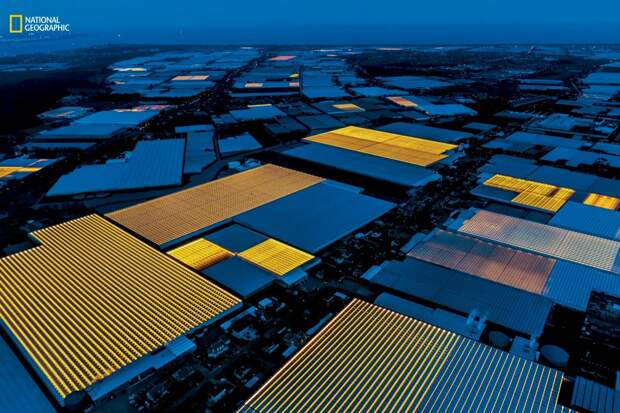 Нидерланды: высокотехнологичное будущее сельского хозяйства будущее здесь, нидерланды, разработки, сельская техника, сельское хозяйство, технологии, технологии будущего