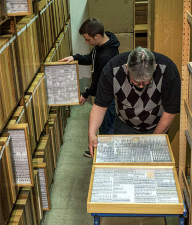 Коллекции Крефельдского энтомологического общества насчитывают миллионы экз.