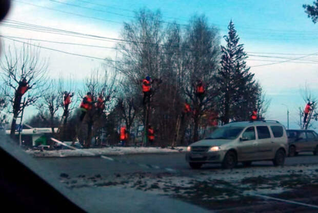 Первые «птички».