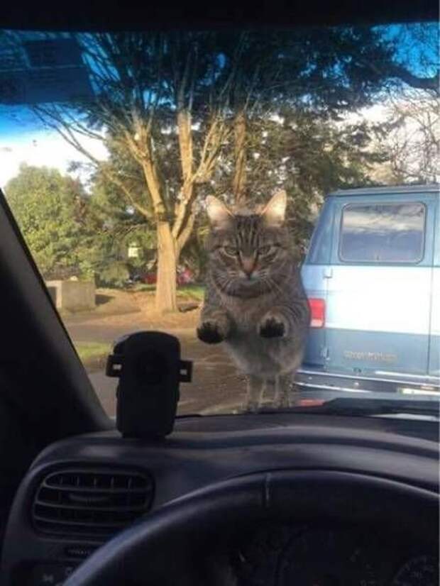 Прикольные картинки абавсём:D (12.08.16)