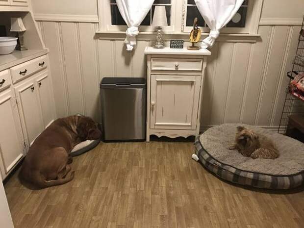 Прикольные картинки. Вечерний выпуск (53 фото)