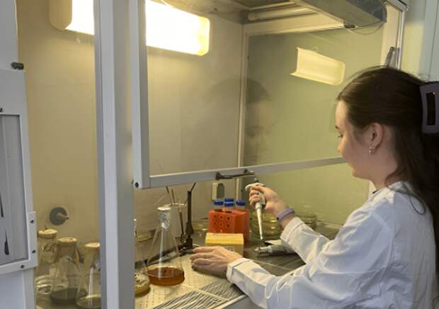 ПНИПУ: получиен стабильный ферментный препарат для применения в сельском хозяйстве