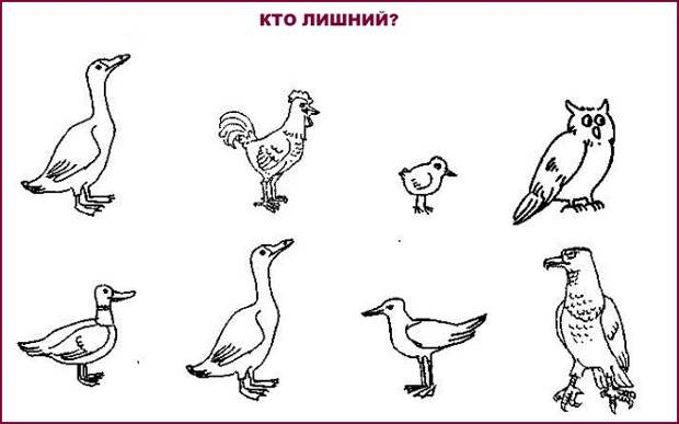 Кто лишний