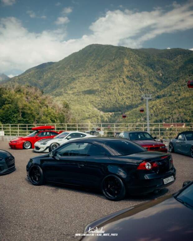 Lowdaily