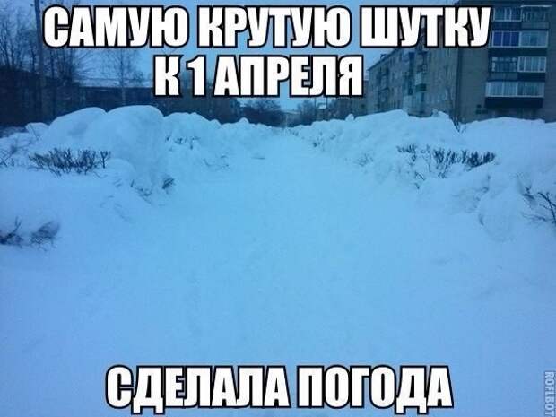 Смешные картинки с надписями прикол, юмор
