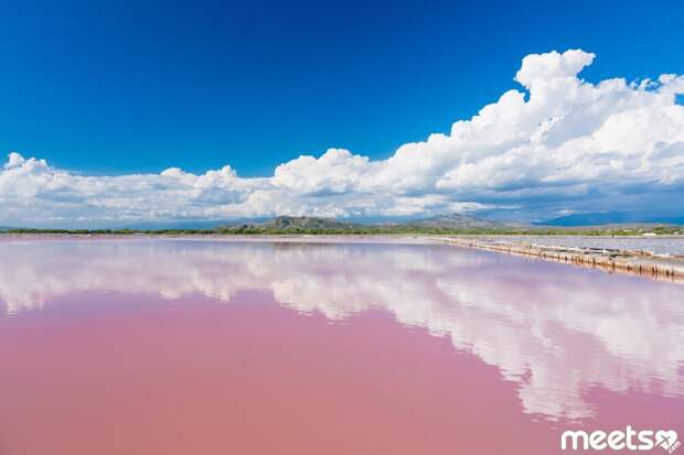 lake retba senegal lake retba