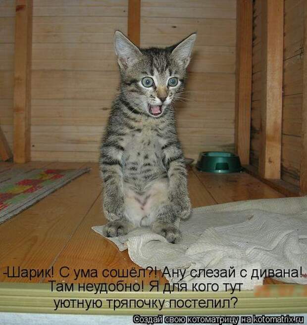 Мысли вслух :)