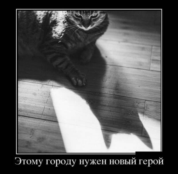 Свежие и веселые демотиваторы субботы (11 фото) Свежие и веселые демотиваторы субботы (11 фото)