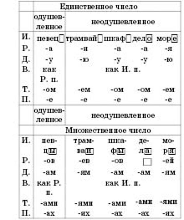 Имя существительное падеж