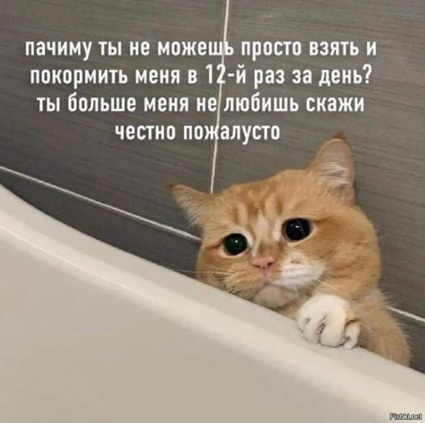 7c79e755e19e64eabb1f25fe425d3c5a (700x696, 270Kb)