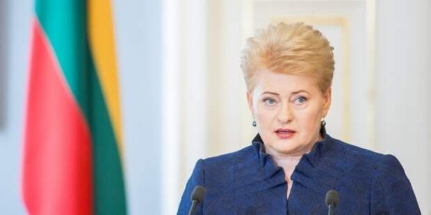 Тем временем: Президент Литвы заподозрила Россию и Белоруссию в подготовке войны с Западом