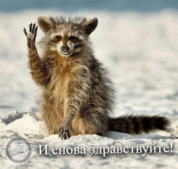 И снова здравствуйте!