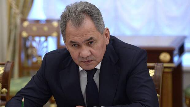 Шойгу заявил о контроле талибов над границами Афганистана с другими странами