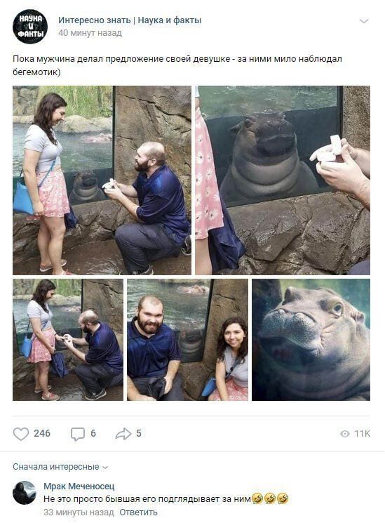 setyah-socialnyh-postam-citaty-vkontakte-vkontakte-smeshnye-statusy