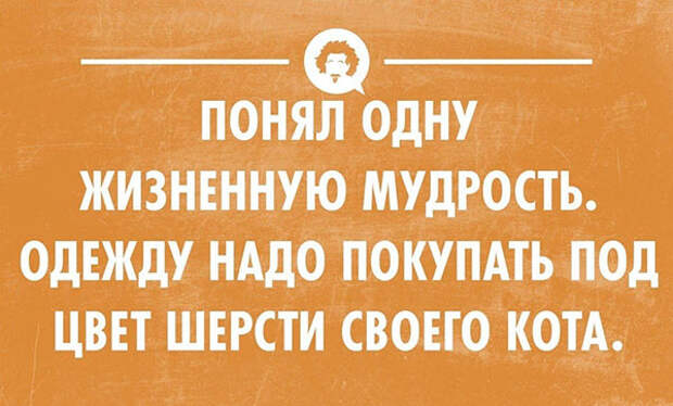 55 весёлых открыток 55 весёлых открыток