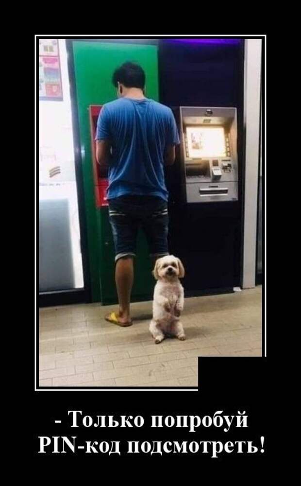 Демотиваторы