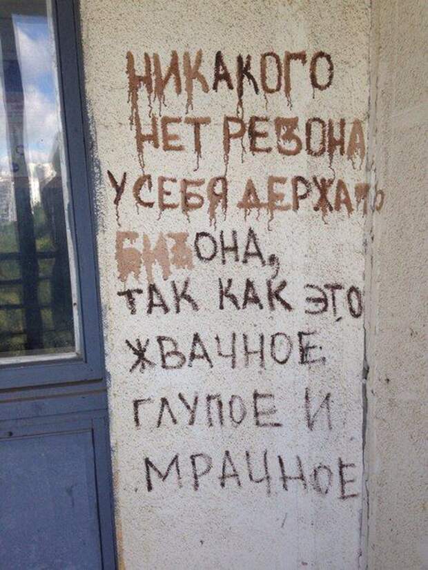 Прикольные картинки. Дневной выпуск (54 фото)