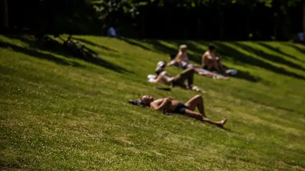 Синоптики предупредили о жаре до +36 °С на юге Тюменской области