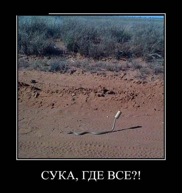 Демотиваторы (30 фото)