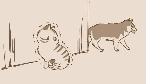 animal-friends-cat-dog-comics-lynal-9