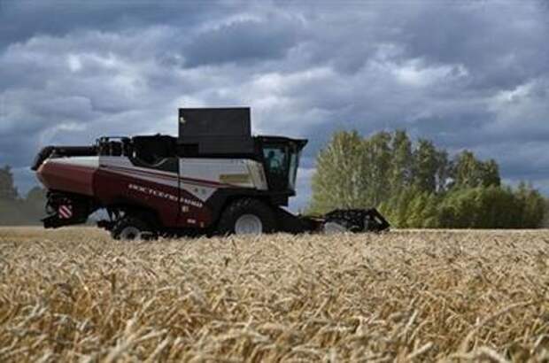 A combine harvests wheat in a field of Triticum farm in Omsk region, Russia September 16, 2020. Picture taken September 16, 2020. REUTERS/Alexey Malgavko 