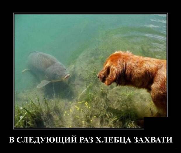 www.vsyako.net