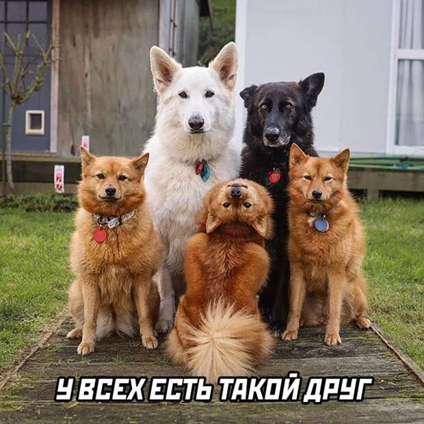 Смешные картинки 14 июля 2021