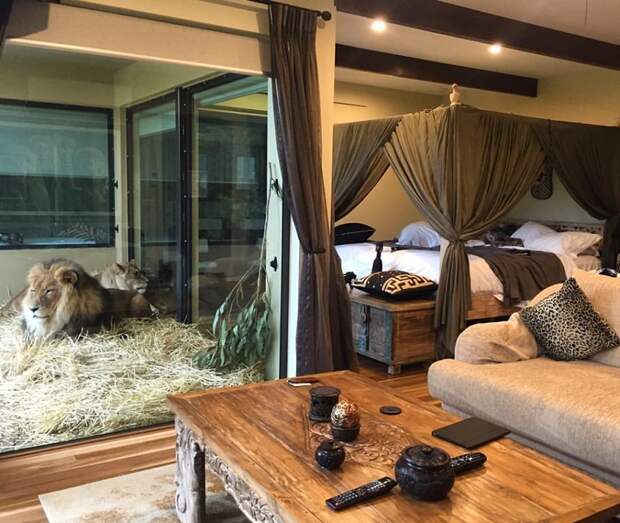 Jamala Wildlife Lodge - необычный отель в зоопарке, Австралия. Фото