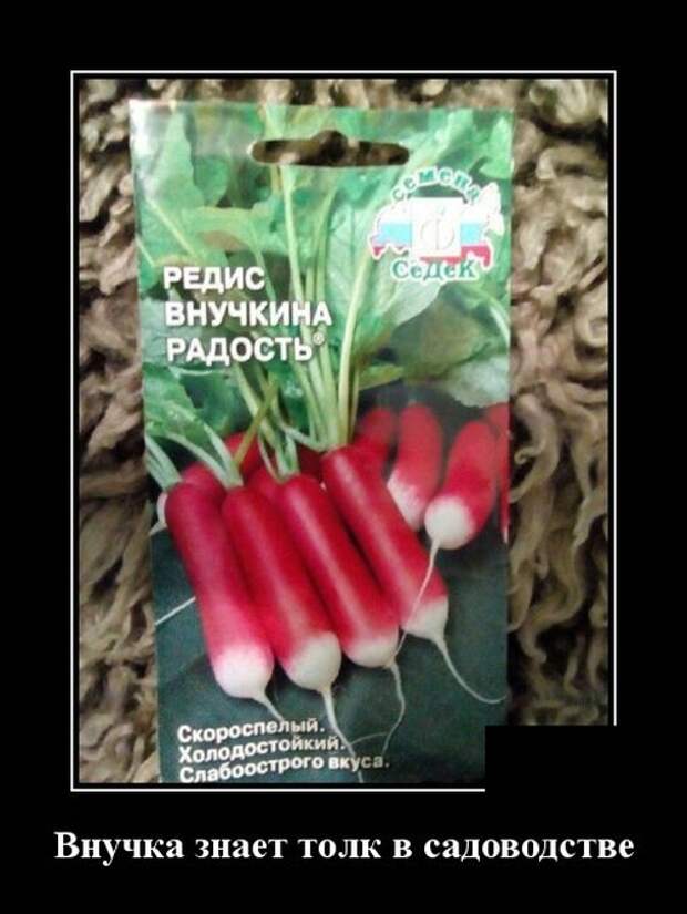 Демотиваторы (30 фото)
