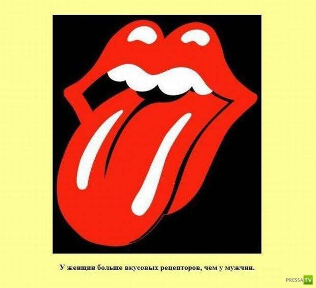 Интересные факты в картинках