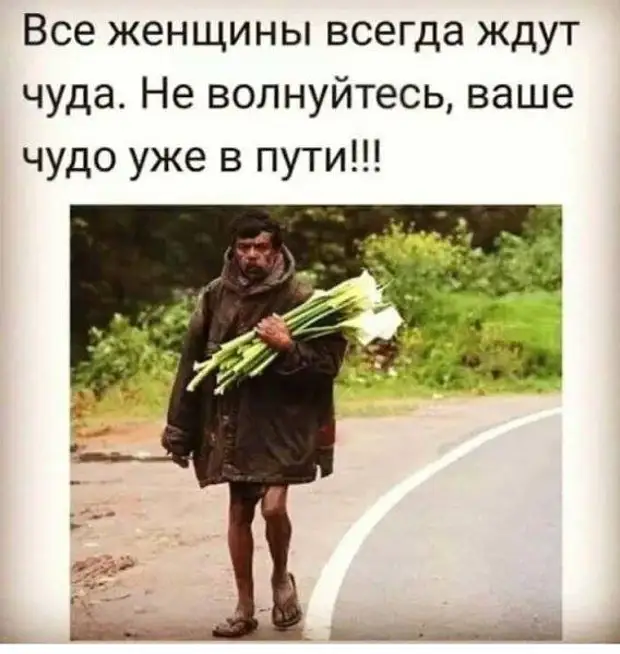 Я никогда не включаю поворотники. Зачем другим знать, куда я еду? ничего, ребенок, клином, бабушкой, ведре, абсолютно, цирка2 Окей, контролёры, алкоголики, бритоголовые, хулиганы, пятых, класса, возвращающихся, Вызов, обиделасьЧасто, транспорте, глава, семьи, работает